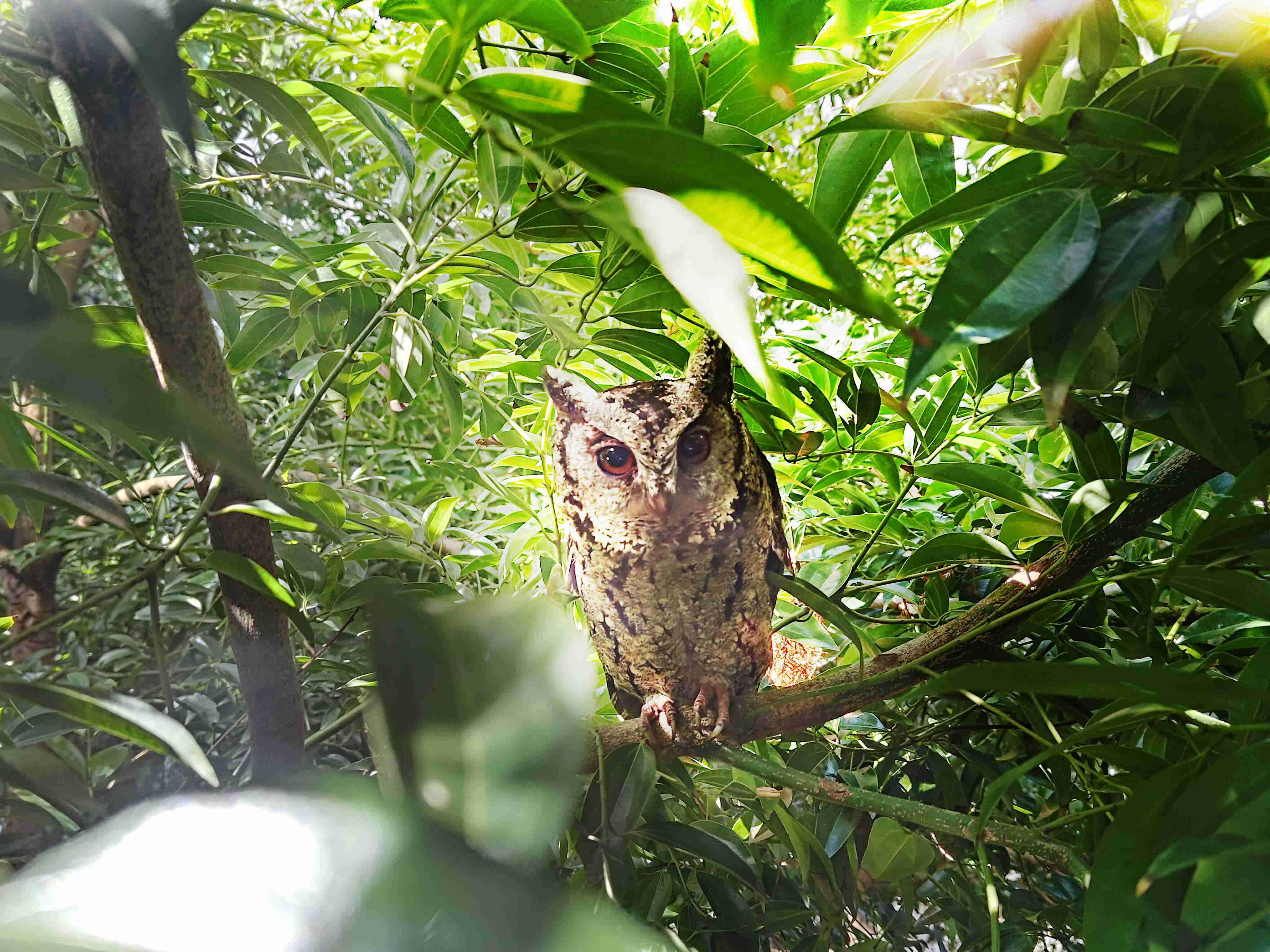 2468BET致力提倡净零绿生活，，，，16年以来在全球各厂区植树逾百万棵，，，，造就各厂区树木蔚然成林，，，，犹如森林工厂，，，，成为许多生物的栖息地